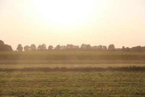 Sunset over field Stock Photos