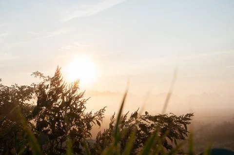 Sunset over the field Stock Photos