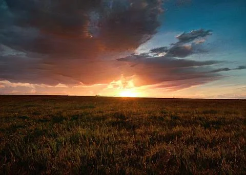 The sunset over the field Stock Photos