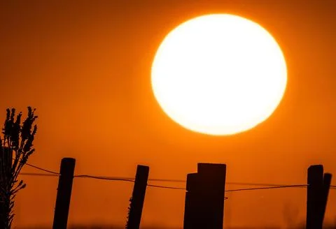 Sunset Over the Field Stock Photos