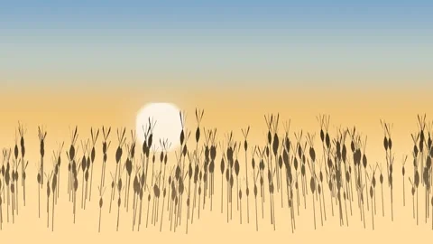 Sunset over a field of reeds. 2d animation 库存影片 344092144