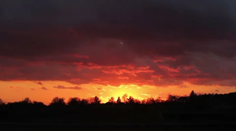 Sunset over the field, silhouettes of trees Stock Footage 59864536