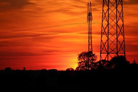Sunset over field with tree and electrical poles, Poland. Stock Photos