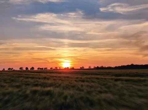 Sunset over a field with trees lining the horizon Stock Photos