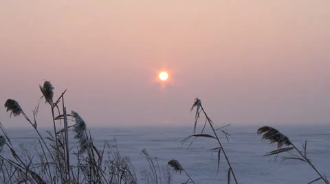Sunset over the field in winter Video stock 24710415