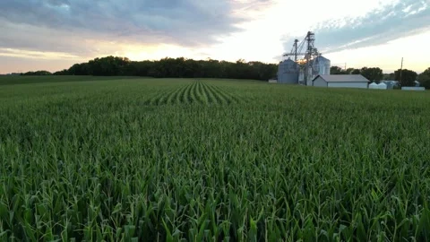 Sunset over the fields and grain bins of an Iowa countryside Stock Footage 309149326