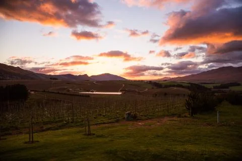 Sunset over fields Foto stock