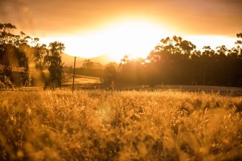 Sunset over fields Foto stock