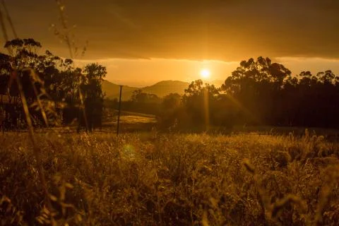 Sunset over fields Foto stock
