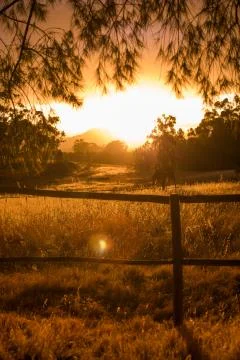 Sunset over fields Foto stock