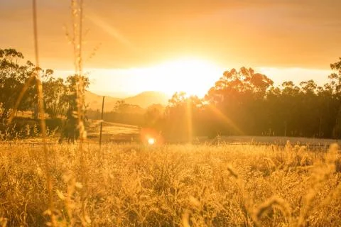 Sunset over fields Foto stock