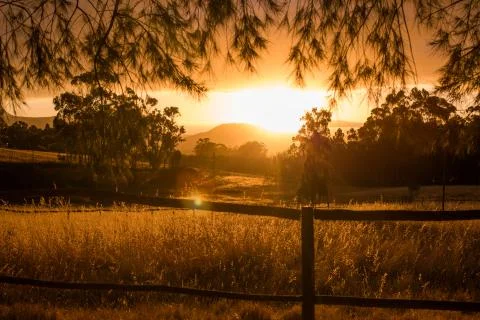 Sunset over fields Foto stock