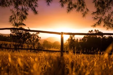 Sunset over fields Foto stock