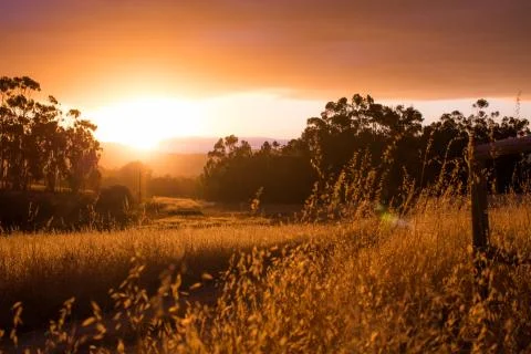 Sunset over fields Foto stock
