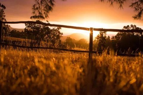 Sunset over fields Foto stock
