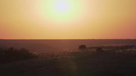 Sunset over the fields with sage in crimea Video stock 101950140