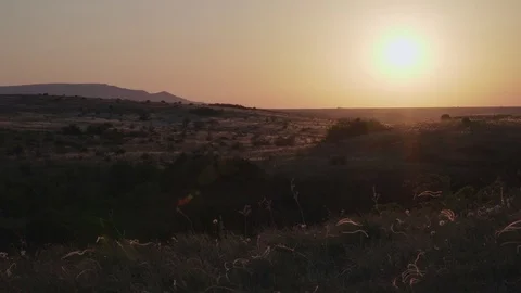 Sunset over the fields with sage Video stock 101949643