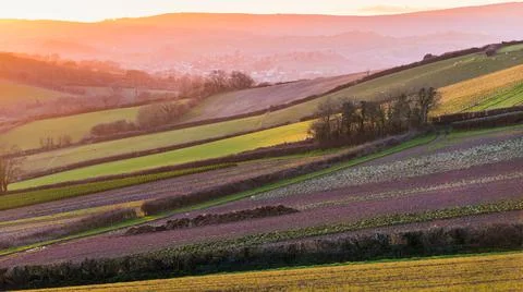SUNSET over the fields, Shaldon, Devon, England Stock-Fotos