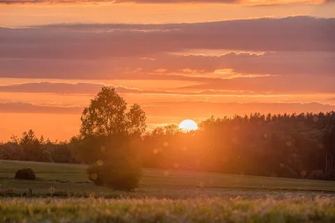 Sunset over fields with trees and orange sky Foto stock