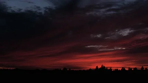 Sunset over the forest and field timelapse Stock Footage 206610373