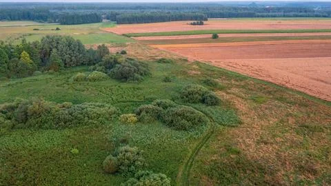 Sunset over forest and fields aerial in sunset light, Podlaskie Voivodeship,  Stock Photos