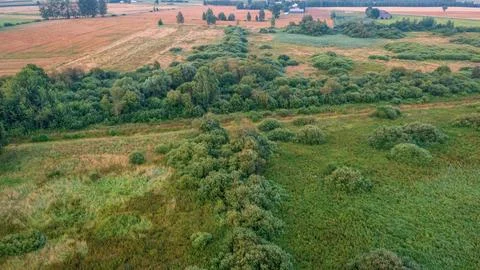 Sunset over forest and fields aerial in sunset light, Podlaskie Voivodeship,  Stock Photos