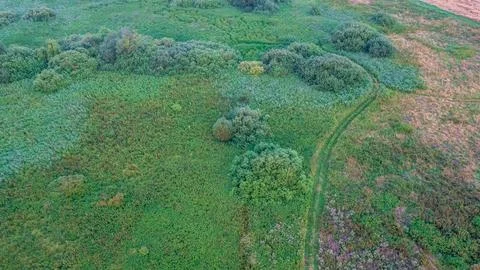 Sunset over forest and fields aerial in sunset light, Podlaskie Voivodeship,  Stock Photos