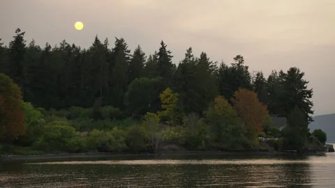 Sunset Over Forest by Calm River Stock Footage 320202352