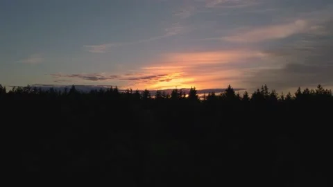 Sunset over the forest, camera panorama upward revealing golden clouds Stock Footage 154555650