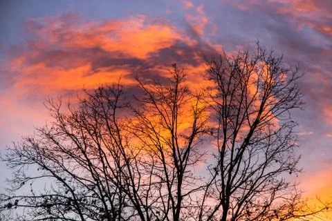 Sunset over forest with dramatic sky Stock Photos