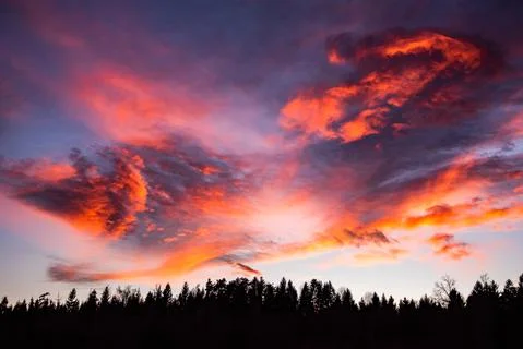 Sunset over forest with dramatic sky Stock Photos