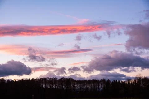 Sunset over forest with dramatic sky Stock Photos