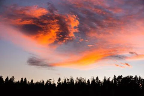 Sunset over forest with dramatic sky Stock Photos