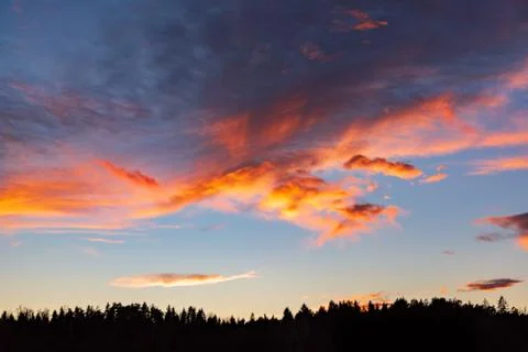 Sunset over forest with dramatic sky Stock Photos