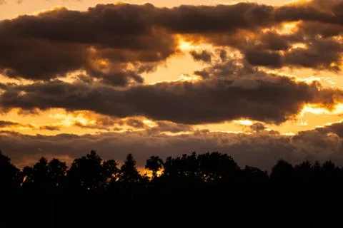 Sunset over forest with dramatic sky and colorful dark clouds Stock Photos