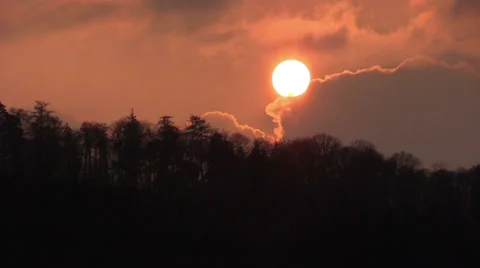 Sunset over a forest Stock Footage 36227239