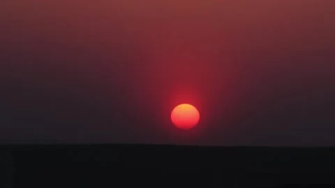 Sunset over forest Video stock 160825693