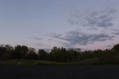 Sunset Over Forest Vídeos de archivo 208460585