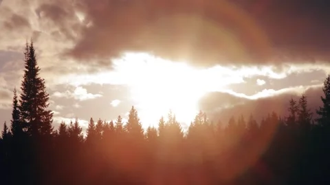 Sunset over the forest 库存影片 258838859