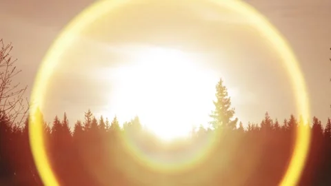 Sunset over the forest Stock Footage 258840740