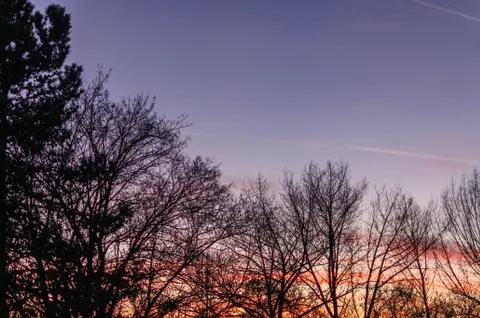 Sunset over the forest. Image in the orange-blue toning Stock Photos