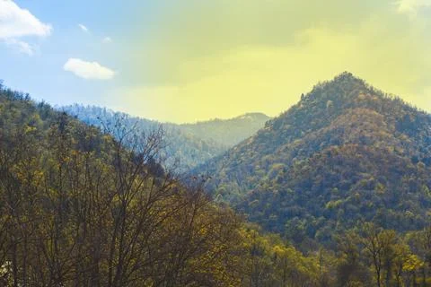 Sunset over the forest in  mountain Stock Photos