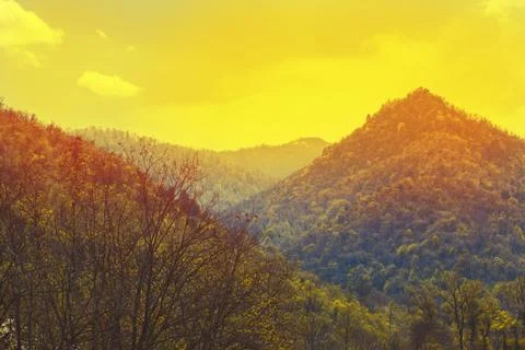 Sunset over the forest in  mountain Stock Photos