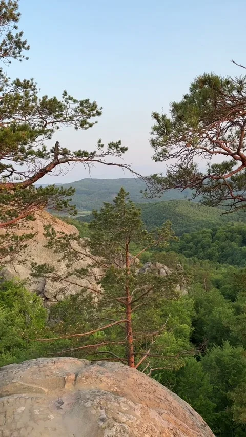 Sunset over forest mountains Stock Footage 244321366