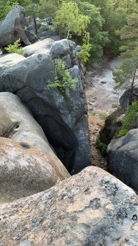 Sunset over forest mountains Stock Footage 244644628