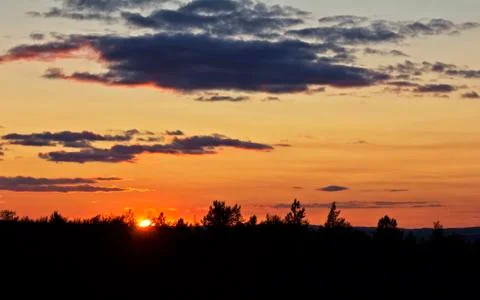 Sunset over the forest Foto stock