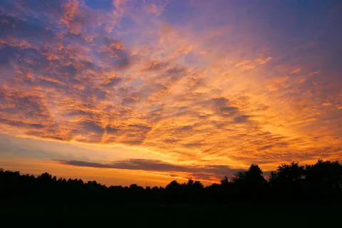 Sunset over the forest Stock Photos