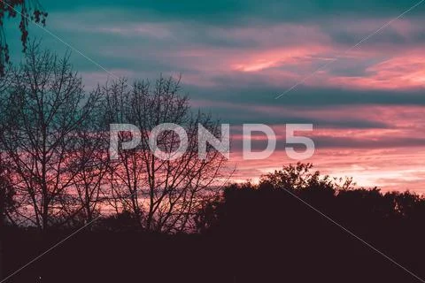 Sunset over the forest Stock Photos