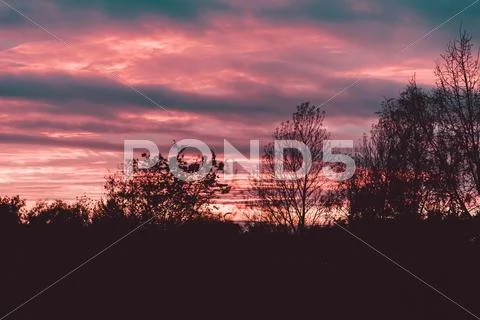 Sunset over the forest Stock Photos