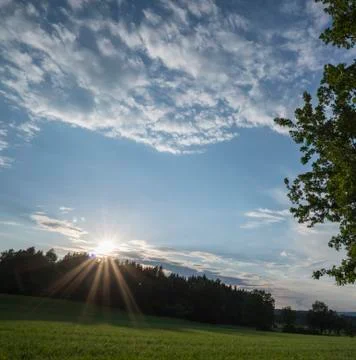 Sunset over forest Foto stock